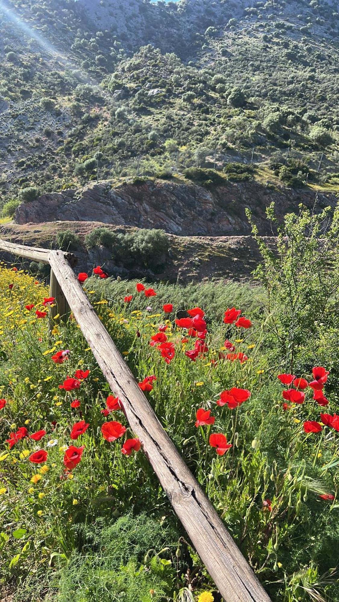 Casa Rural Las Rosas De Бенаохан Экстерьер фото
